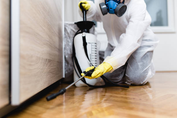 Best Pest Inspection Near Me  in Holiday City South, NJ