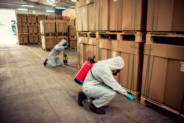 Best Emergency Pest Control  in Holiday City South, NJ