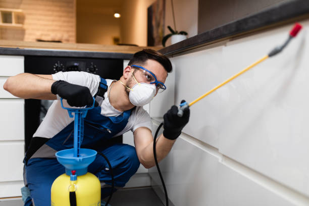 Best Flea Control Services  in Holiday City South, NJ