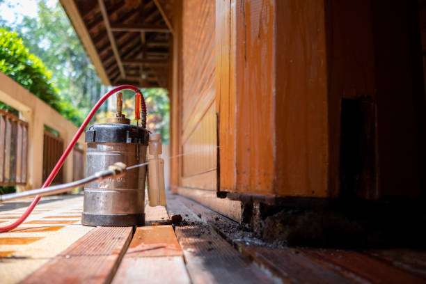 Best Termite Control Services  in Holiday City South, NJ