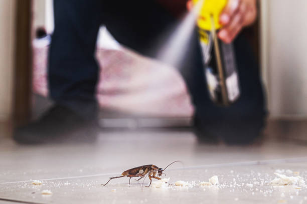 Best Pest Control Near Me  in Holiday City South, NJ