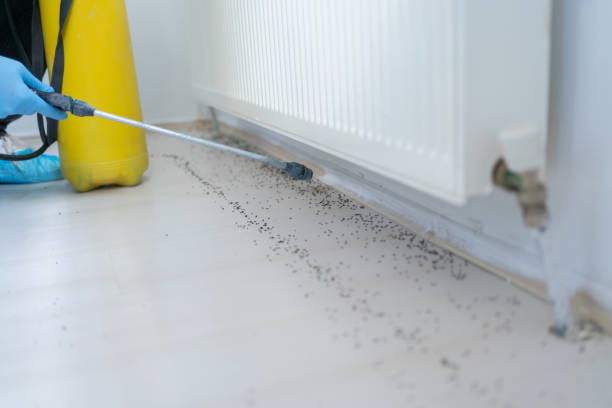 Best Commercial Pest Control Services  in Holiday City South, NJ