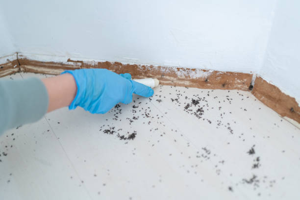 Trusted Holiday City South, NJ Pest Control Experts